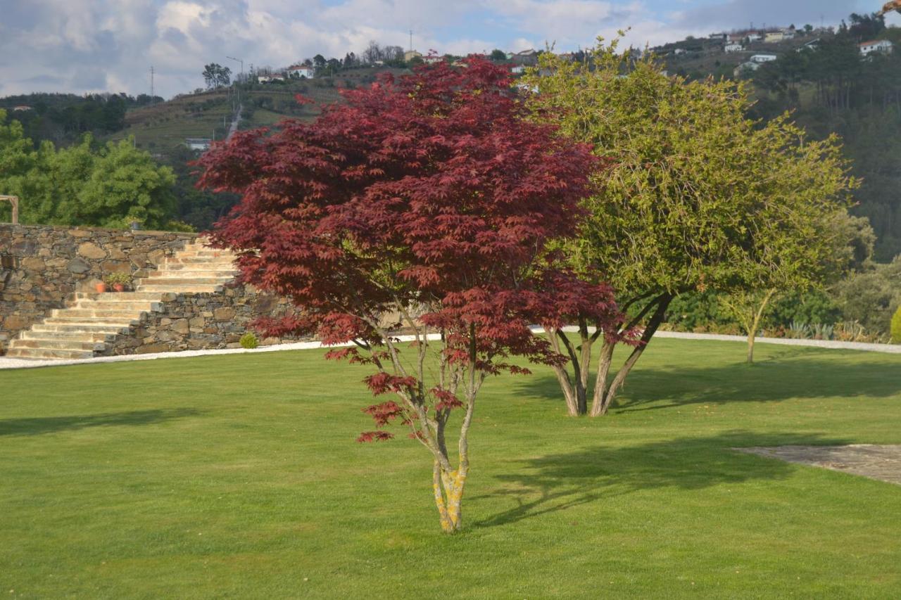 Quinta Da Portelada Пезу-да-Регуа Экстерьер фото