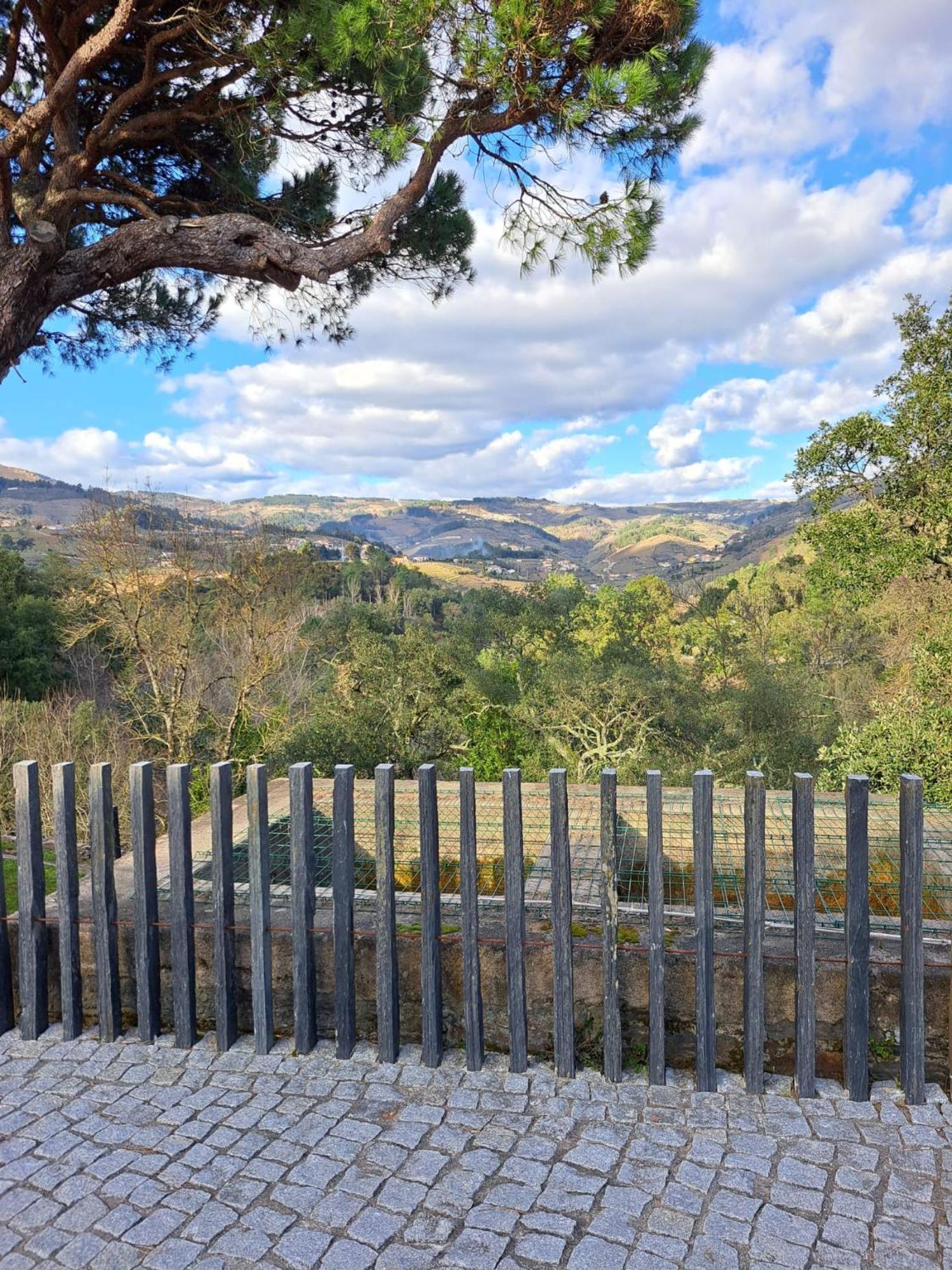 Quinta Da Portelada Пезу-да-Регуа Экстерьер фото