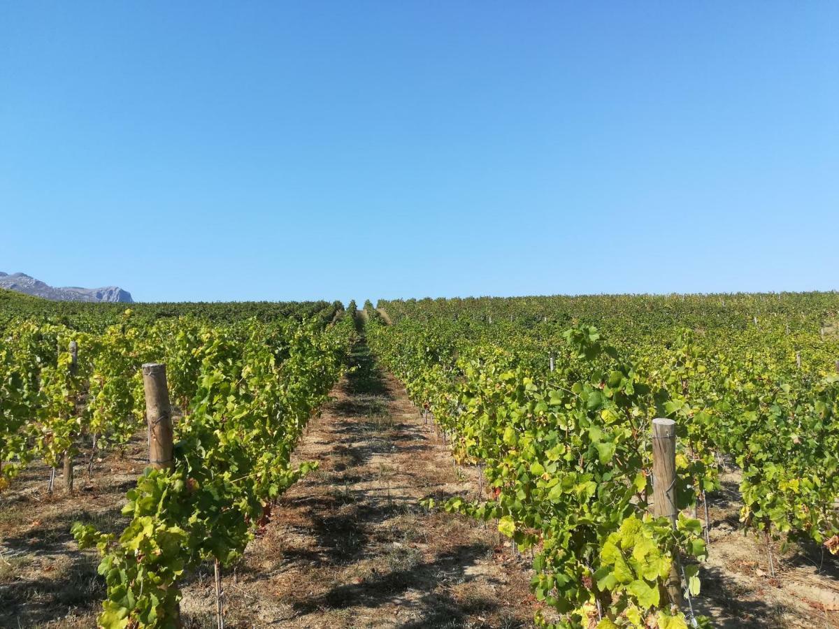 Quinta Da Portelada Пезу-да-Регуа Экстерьер фото